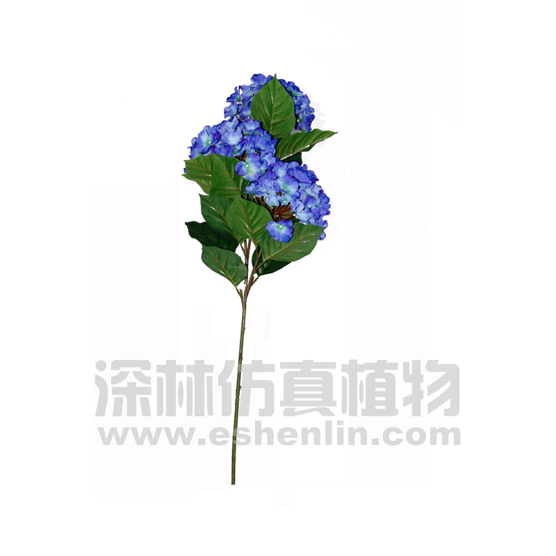 绣球花