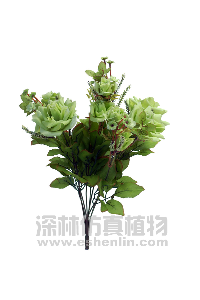 玫瑰