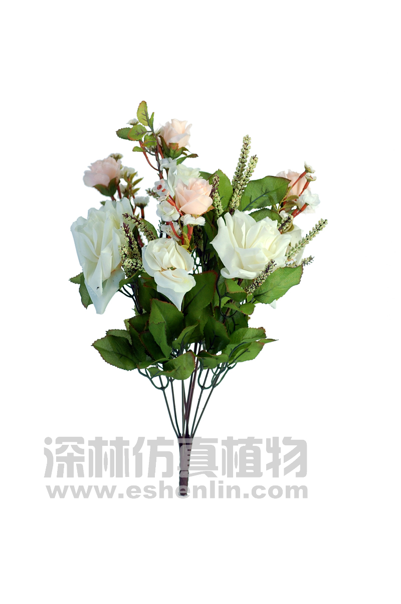 玫瑰