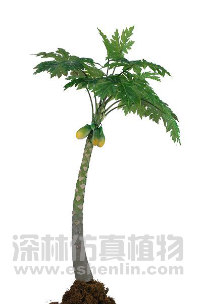 ľ