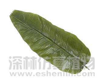 招财进宝三反中叶