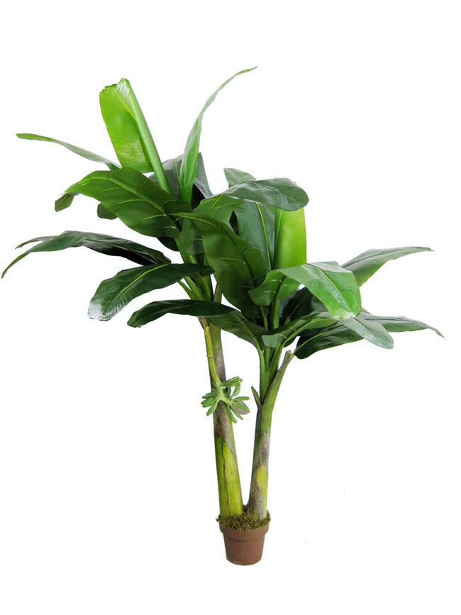 product name: Ž